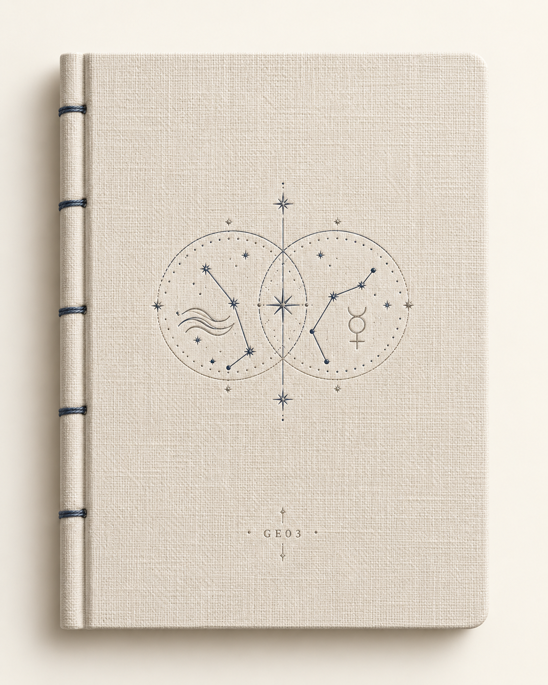 Gemini Field Notes Journal — The Twin Signal