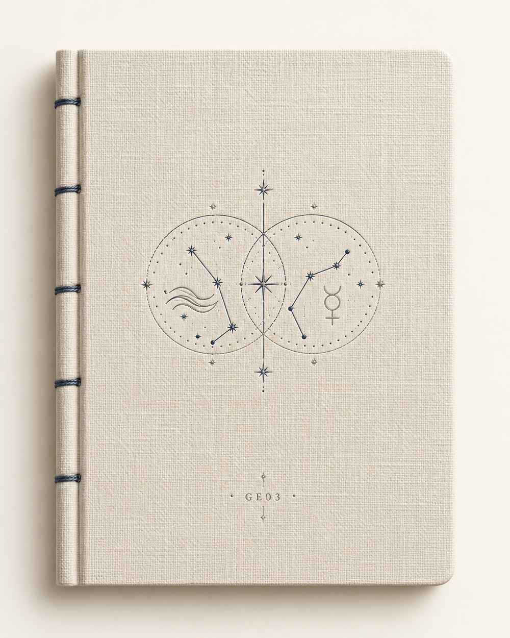 Gemini Field Notes Journal — The Twin Signal