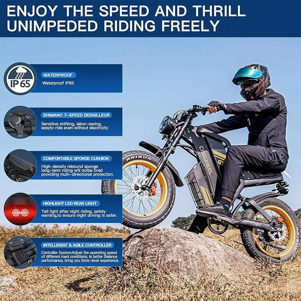 COSWHEEL GT20 Electric Dirt Bike, 1500W Motor, 48V/25Ah Removable Battery, 20in x 4.0in Fat Tires - GT20