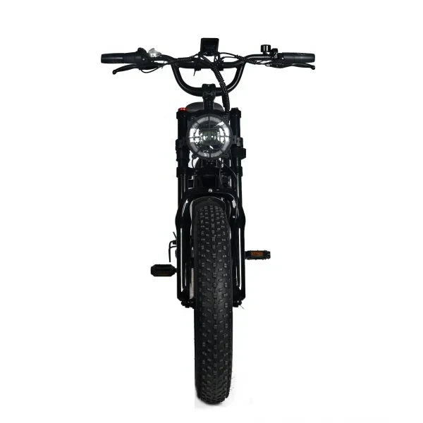 Electric Mountain Bike For Adults With 20 x 4.0 Fat Tires, 1000W Motor, 48V 20Ah Removable Battery, 45MPH Speed, 7-Speed