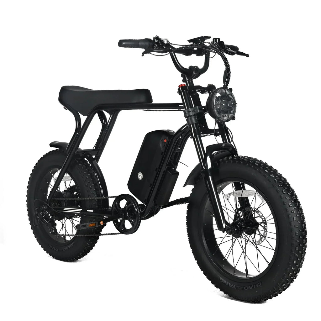 Electric Mountain Bike For Adults With 20 x 4.0 Fat Tires, 1000W Motor, 48V 20Ah Removable Battery, 45MPH Speed, 7-Speed