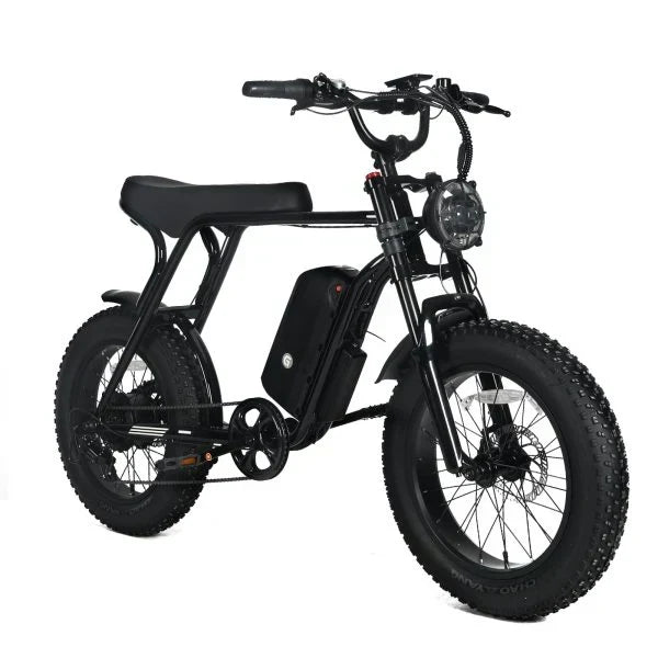 Electric Mountain Bike For Adults With 20 x 4.0 Fat Tires, 1000W Motor, 48V 20Ah Removable Battery, 45MPH Speed, 7-Speed