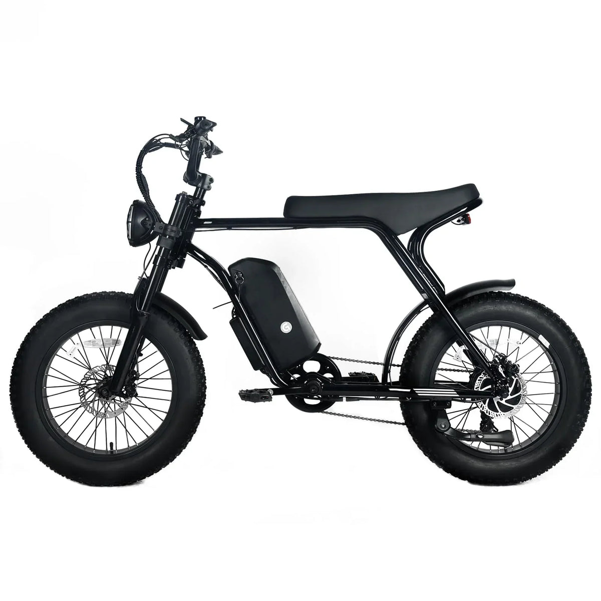 Electric Mountain Bike For Adults With 20 x 4.0 Fat Tires, 1000W Motor, 48V 20Ah Removable Battery, 45MPH Speed, 7-Speed